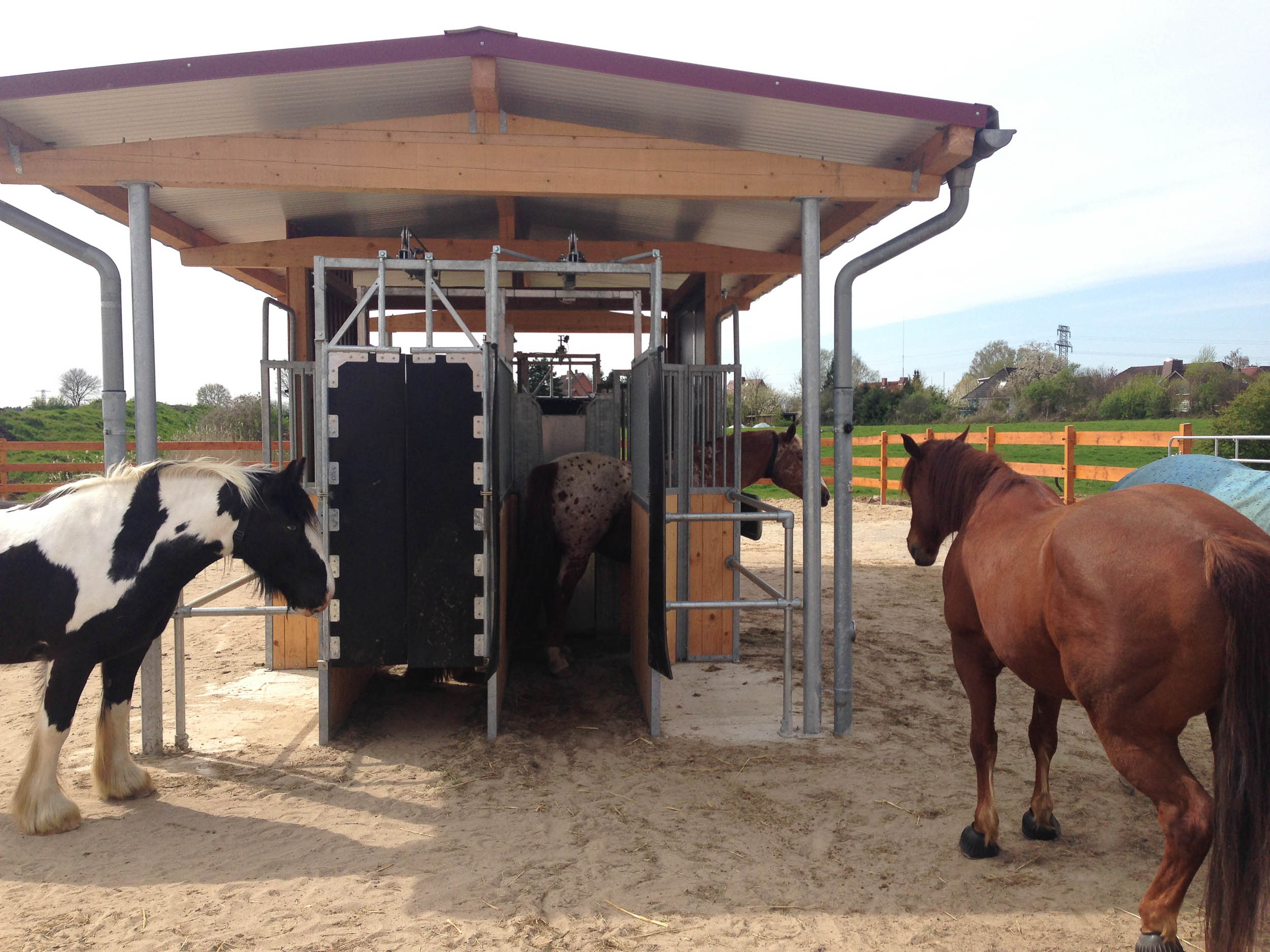Gallery Automated Combi Feeder